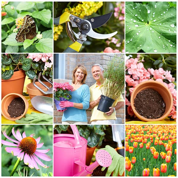 projektowanie ogrodów projektowanie ogrodów