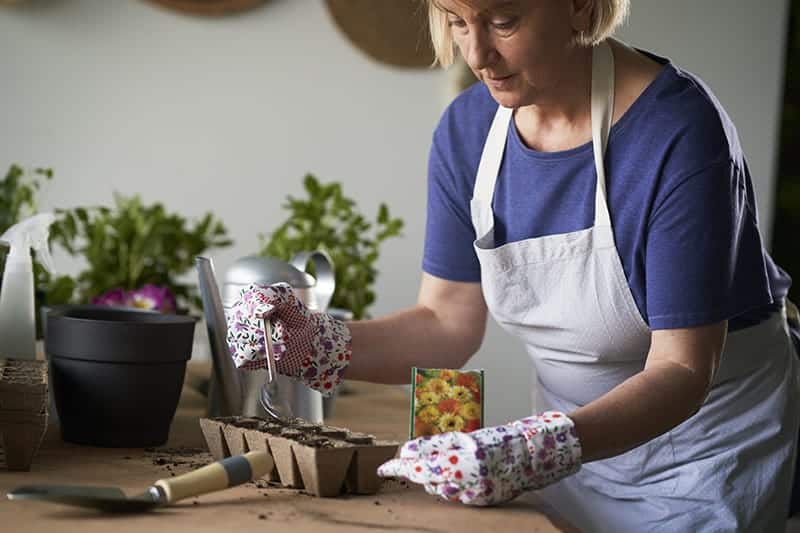  Mieszanka nasion kwiatów na łąkę kwietną