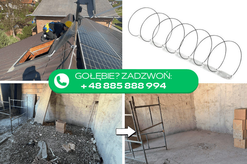 Stan techniczny budynku a ptaki. Po co montować zabezpieczenia na gołębie? | BLOG BUDOWLANY sprzątanie gołębich odchodów i zabezpieczenia