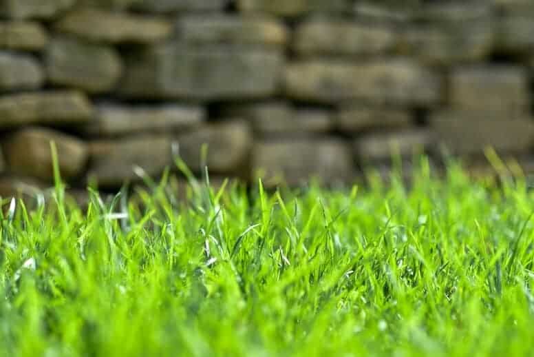 Traktorki kosiarki i aerator do trawy – sprzęt i praktyka dla półprofesjonalnej oraz profesjonalnej pielęgnacji trawnika | BLOG BUDOWLANY